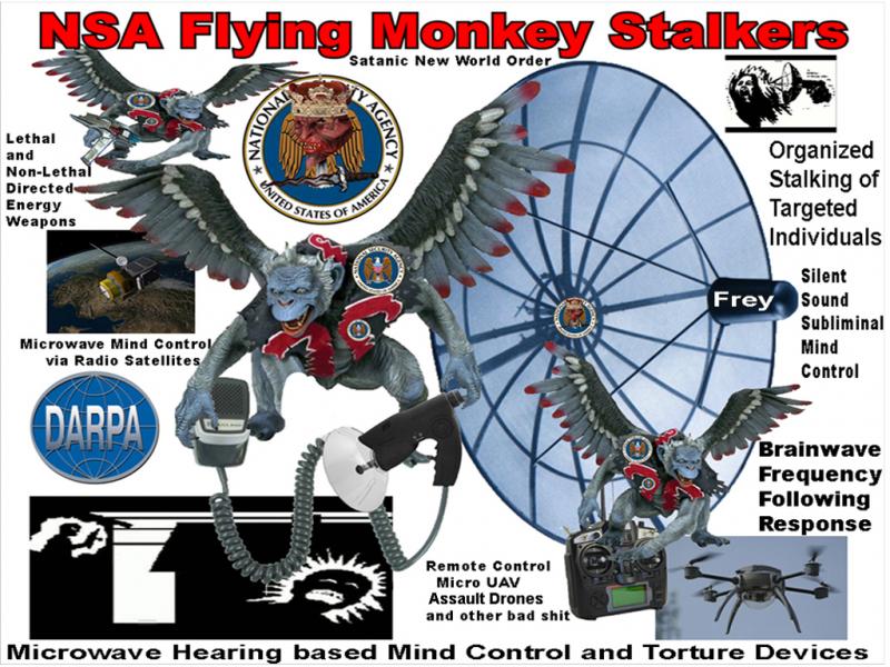 nsa-flying-monkeys-x.jpg